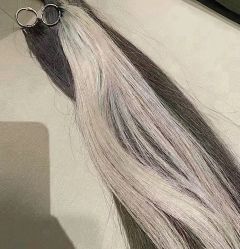 -IP SALON