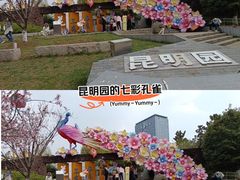 -武汉园博园(武汉自然博物馆)