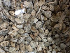 -鑫渔港海鲜本地菜·山海关浑锅(东戴河店)