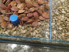 -双合园·海鲜水饺青岛菜(九水东路店)