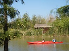 -上海长兴岛郊野公园
