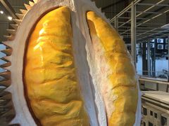 -都念榴莲·城市榴莲