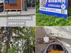 -武陵山森林公园