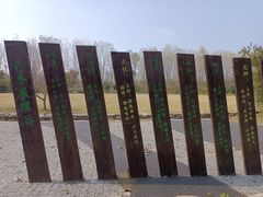 -溱湖国家湿地公园