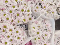 -三圣花乡旅游区