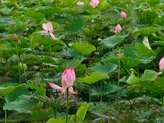 -宜兴龙背山森林公园