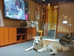 -大江户·温泉洗浴(浑南店)