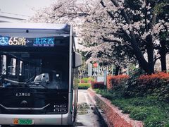 -上海南浦大桥长途旅游客运站