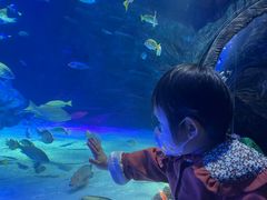 -沈阳海洋探索中心