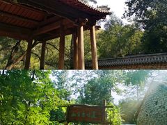 -井塘古村