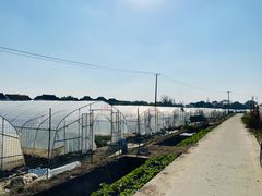 -小鱼草莓采摘园农家乐·小鱼餐厅