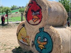 -北京鹿世界主题园