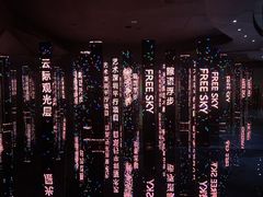 -平安金融中心云际观光层