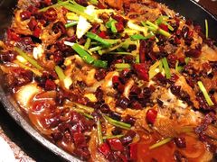 老板恋上鱼-老板恋上鱼(高新万达店)