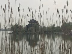 -南湖国家城市湿地公园
