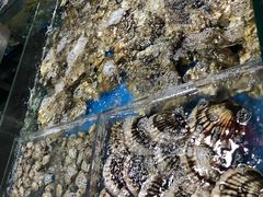 -徐记海鲜(梅溪新天地店)