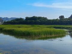 -塞罕坝国家级自然保护区