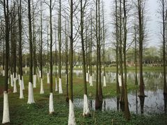 -艾溪湖湿地公园