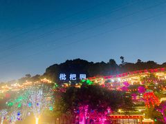 -枇杷园食为鲜火锅(南山店)