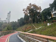 -大渡口区义渡公园