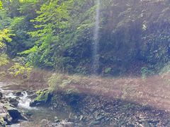 -本溪汤沟绿石谷森林公园