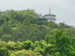 -深圳国际园林花卉博览园