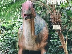 -呀路古热带植物园