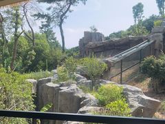 -宁波野生动物园