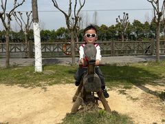 -武汉紫薇都市田园