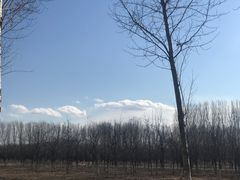 -东郊湿地公园