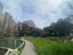 -成都市活水公园