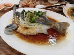 鲈鱼-东鸽皇(奥园·中环广场店)