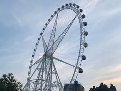 -锦江乐园舞狸花花游园会(夜场专享)