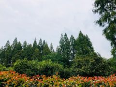 -杭州少年儿童公园