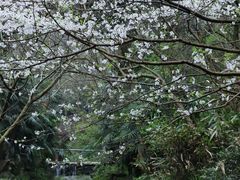 -中国茶叶博物馆(双峰馆区)