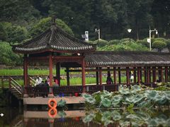 -龙头寺公园