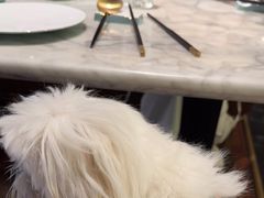 -蝶园·装修中(BFC外滩金融中心店)