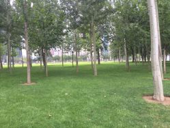 点击看大图 -大望京儿童游乐场