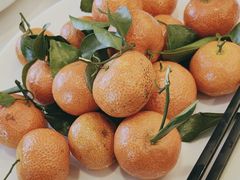 -一品粤珍轩(吴中路店)