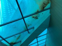 -海帆亲子游泳(茂业中心)