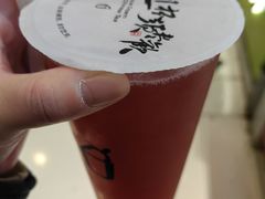 -须尽欢·冰淇淋&中国茶(翔殷路店)