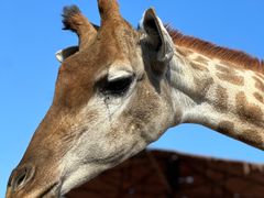 -济南野生动物世界