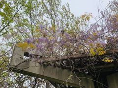 -白塘生态植物园