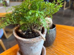 -THE CANNERY&JUJU 新鲜海鲜·牛排美食酒廊