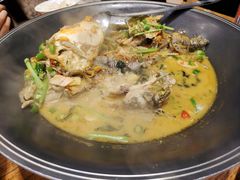 -饭怕鱼(阳光100店)