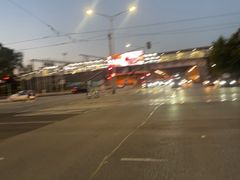 -墨尔本皇家植物园