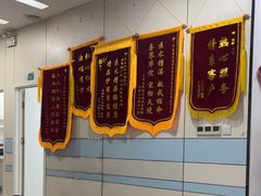 -中农国际动物医院24小时·猫科·骨科·急重症中心