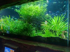 -上海海洋水族馆