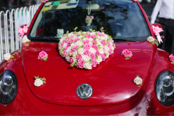 -畅步婚车(浦东店)