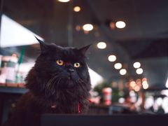 -星巴克(珠海仁恒滨海中心店)